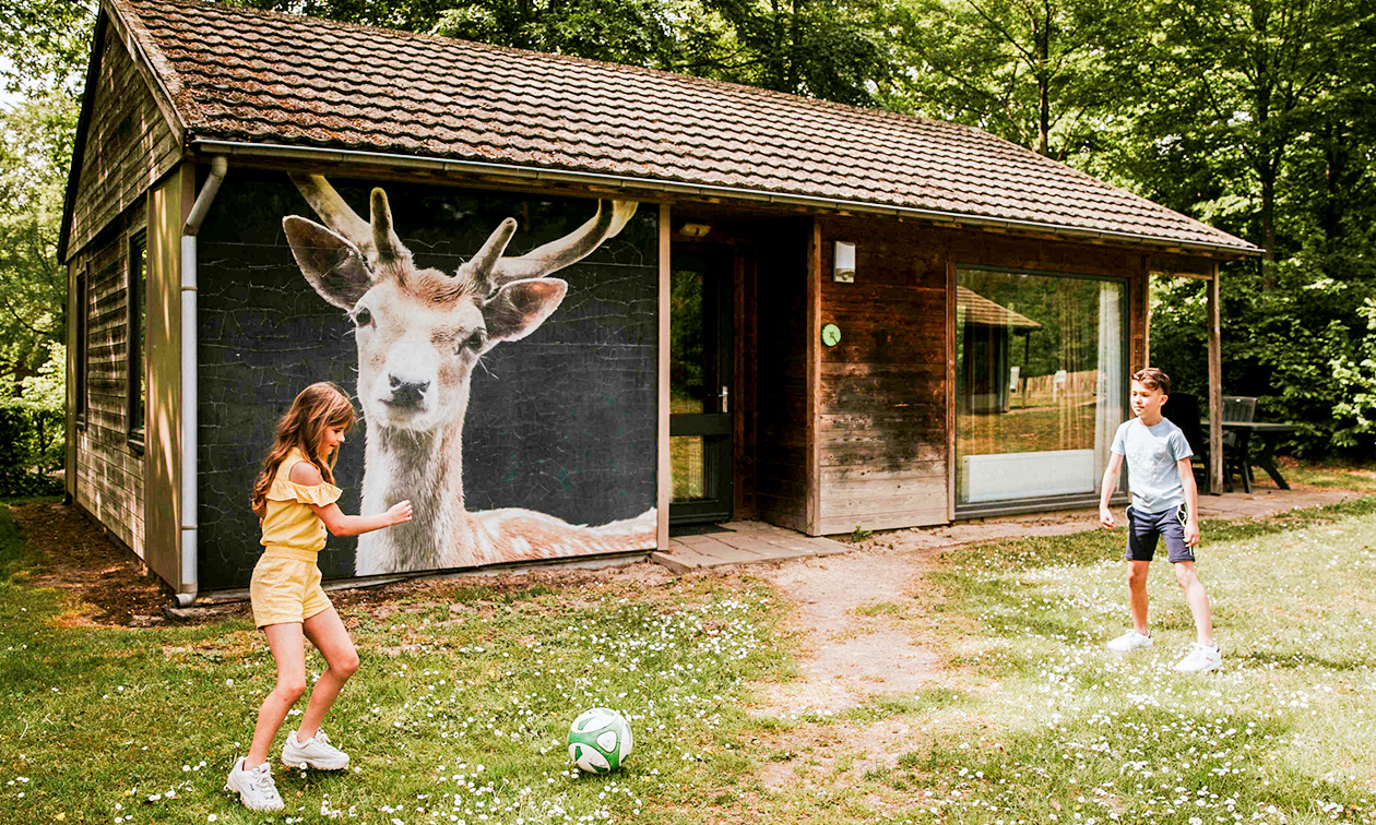 Vakantiepark Dierenbos