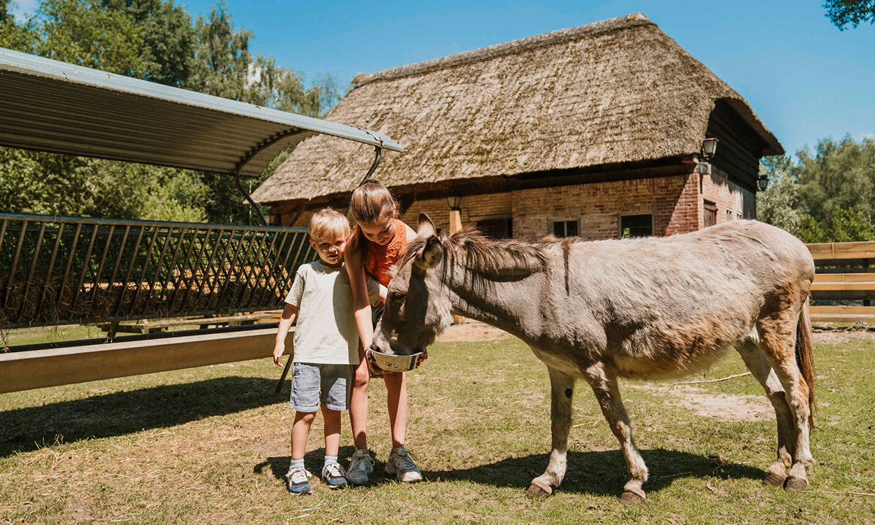 Vakantiepark Dierenbos