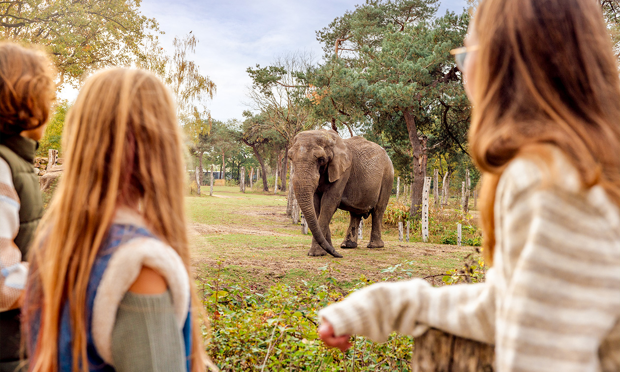 Vakantiepark Dierenbos