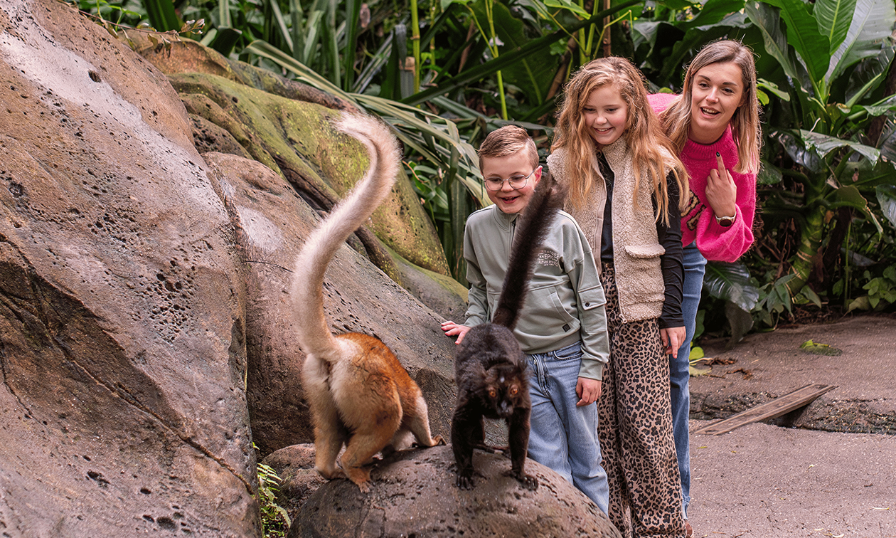 WILDLANDS Adventure Zoo Emmen