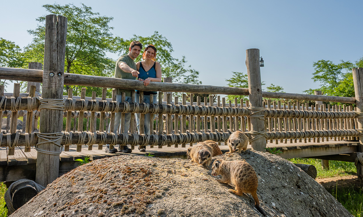 WILDLANDS Adventure Zoo Emmen