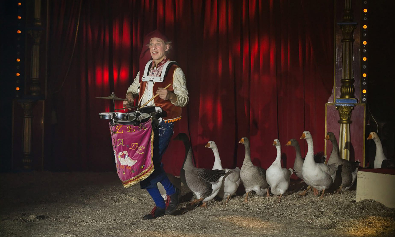 Wintercircus Apeldoorn en Festival du Cirque de Namur
