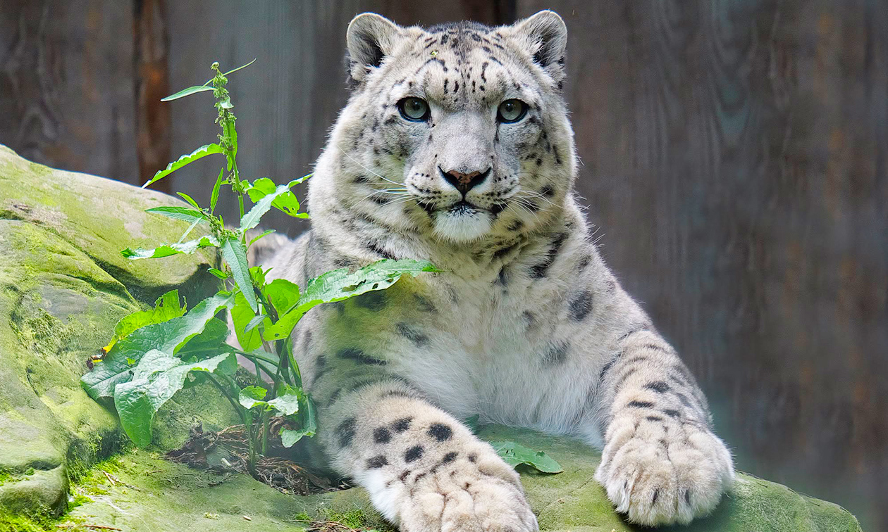 Zoo Krefeld