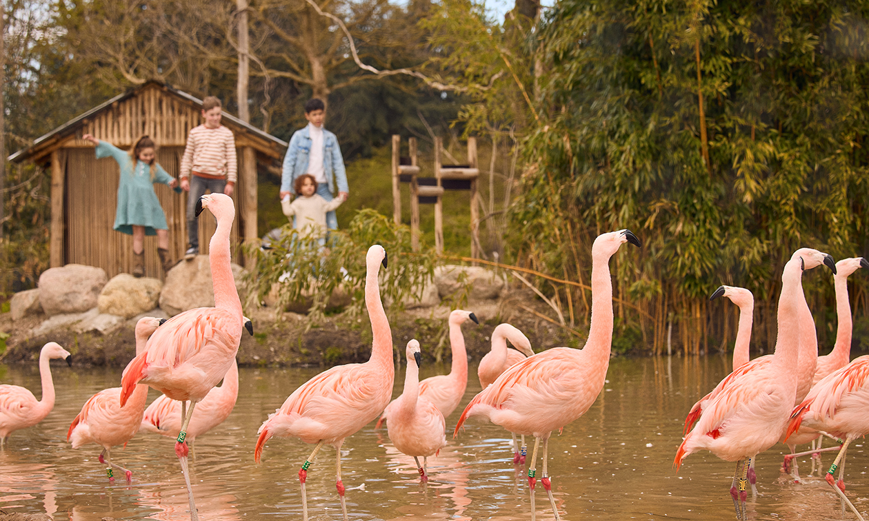 ZooParc Overloon