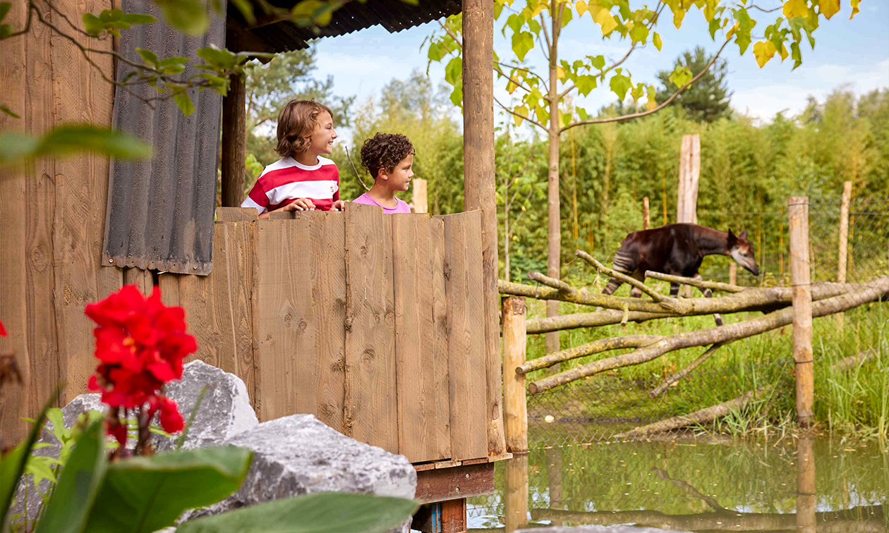 ZooParc Overloon