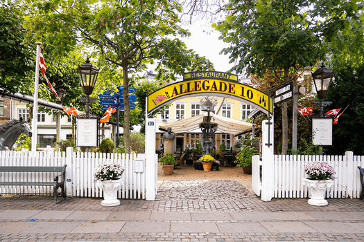 Allegade 10