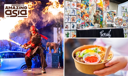 Tageseintritt für das Amazing Asia-Event im Herzen von Brüssel