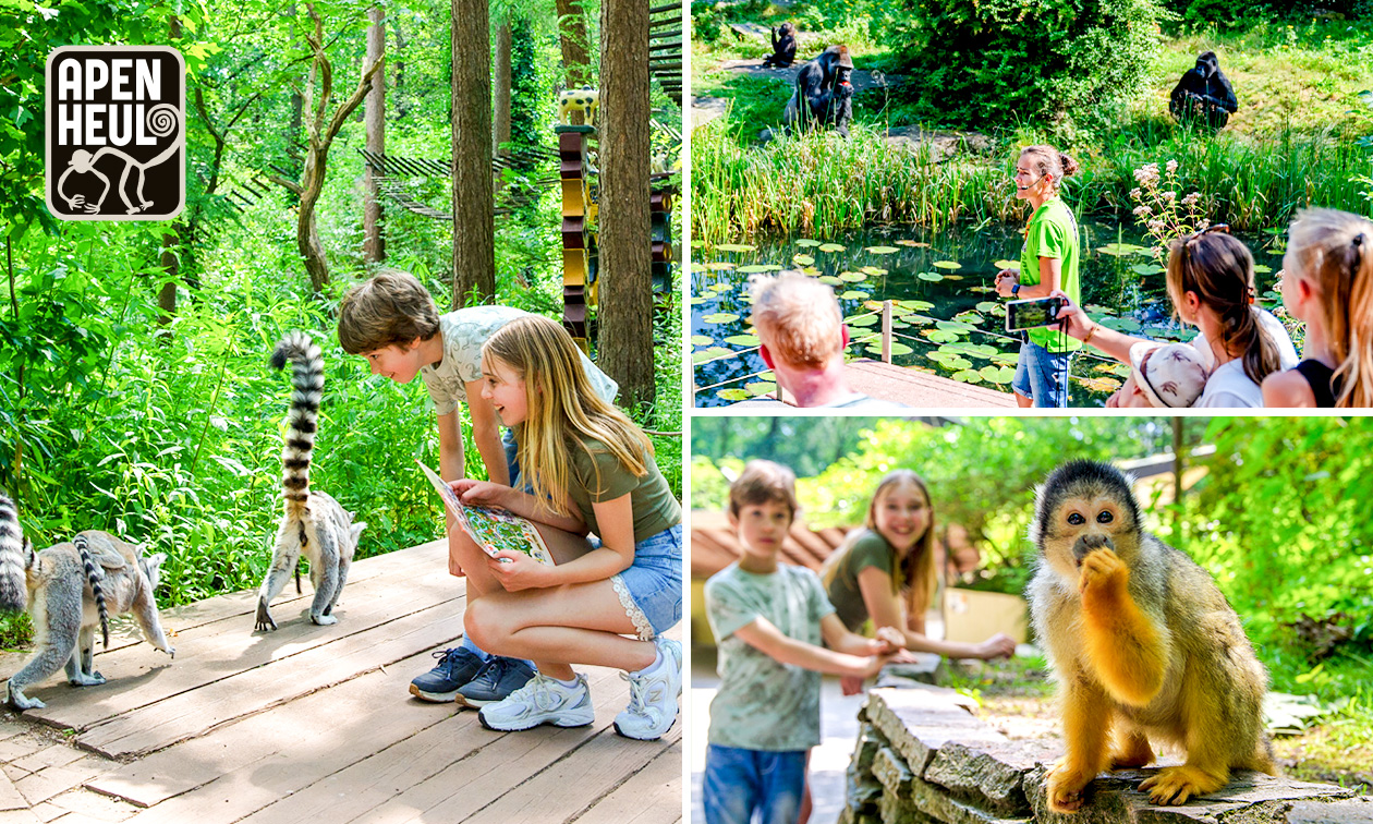 Tageseintritt für Apenheul