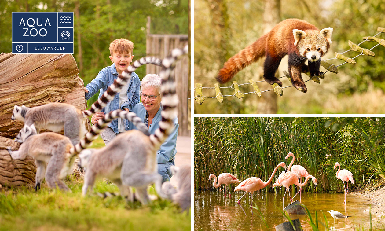 Eintritt in den AquaZoo