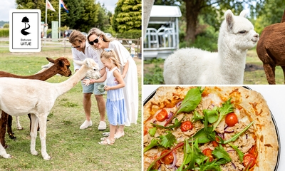 Alpacawandeling (1 tot 2,5 uur) in Opheusden