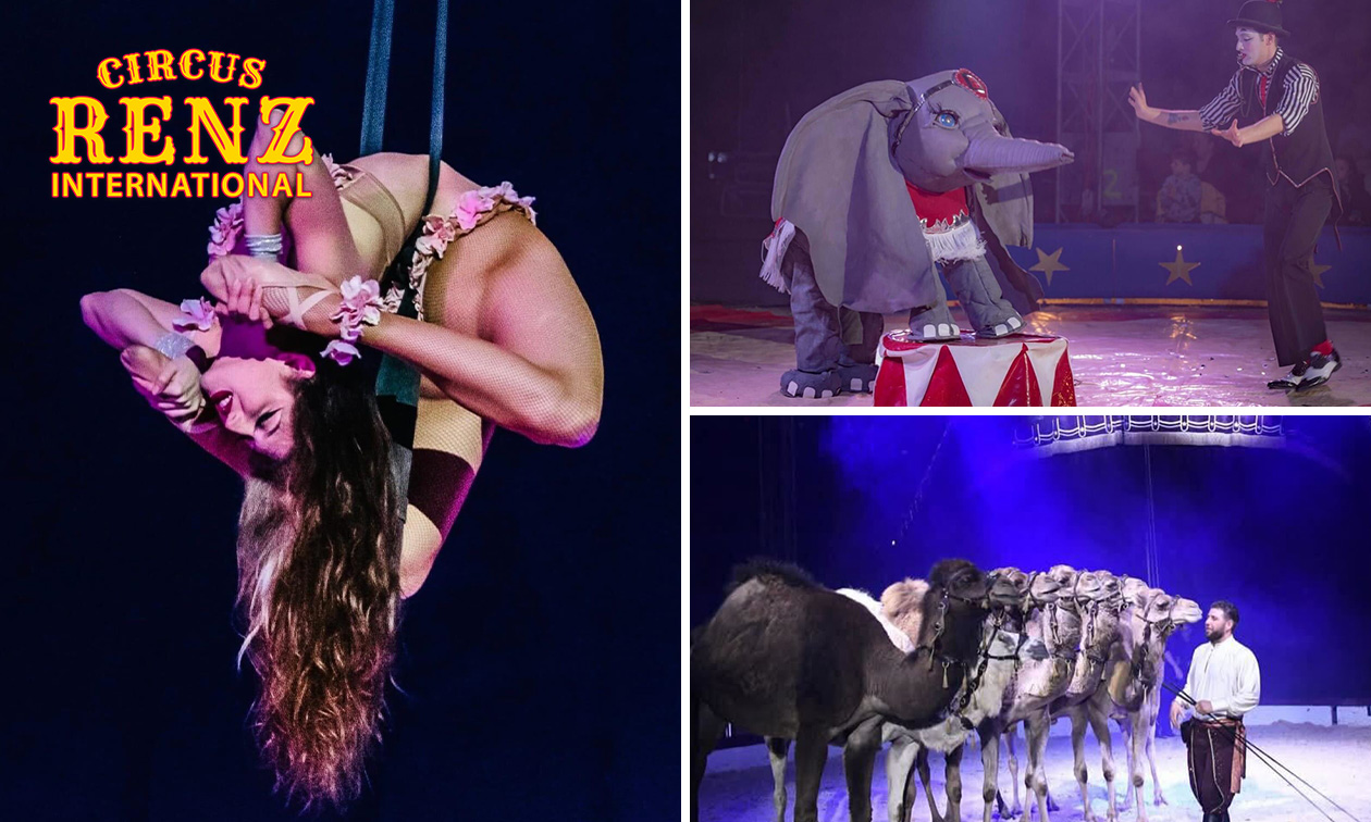 Weihnachtsvorstellung Circus Renz International