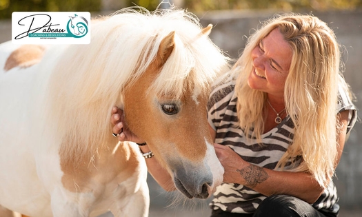 Individuele coachingsessie met paarden (60 of 90 min)