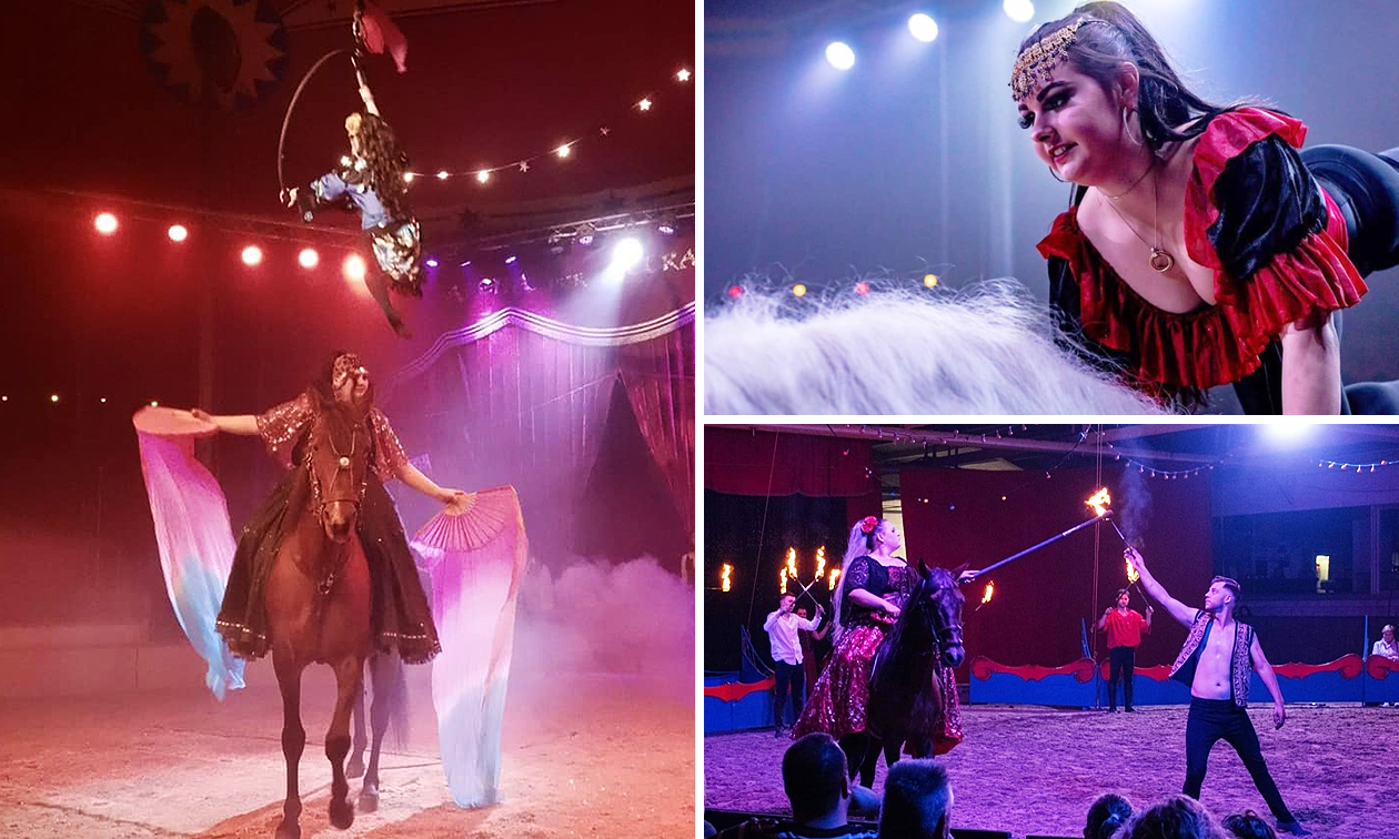 Entrée au spectacle Dancing with Horses