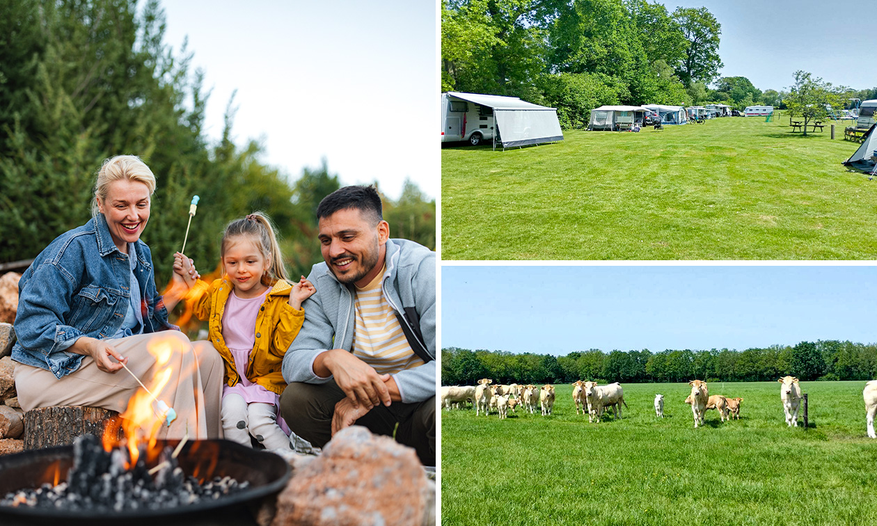 2, 5 oder 7 Nächte campen für 2 + Strom + Dusche + Warmwasser in Ruurlo