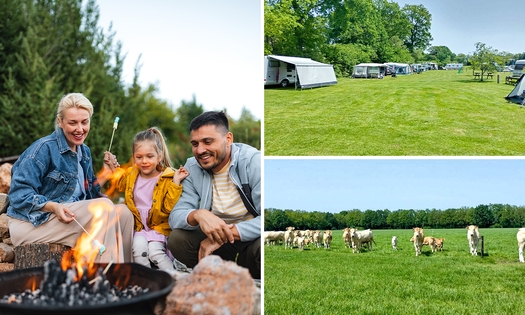 2, 5 oder 7 Nächte campen für 2 + Strom + Dusche + Warmwasser in Ruurlo