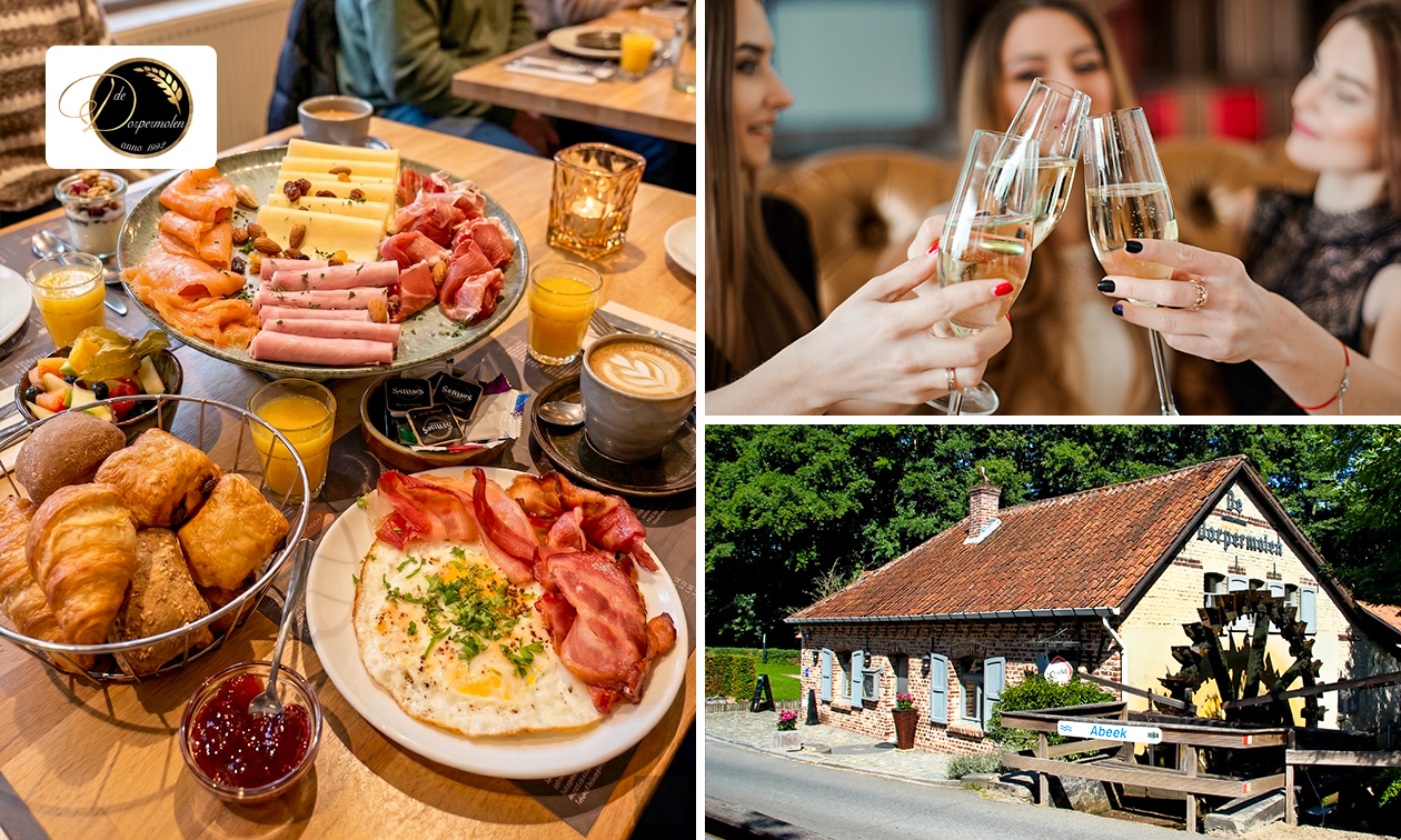 Luxe ontbijt in bosrijke omgeving