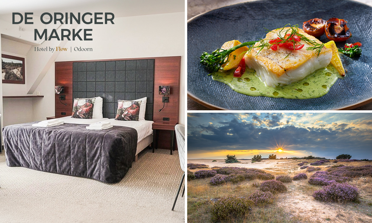 Luxuriöse Übernachtung für 2 + Frühstück + 3-Gänge-Menü + mehr in Odoorn