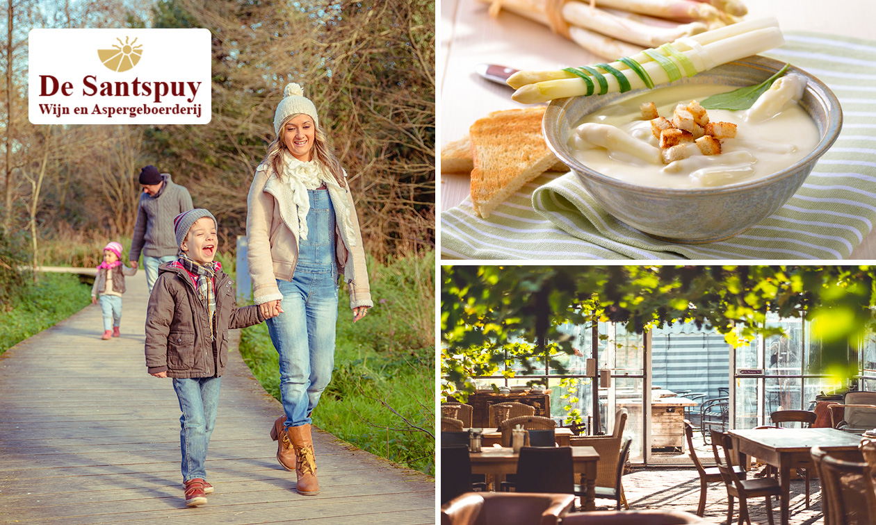 Wandelarrangement met koffie/thee + appelcake + lunch + glas wijn bij De Santspuy