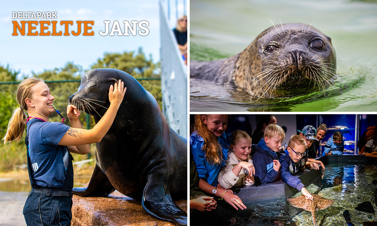 Eintrittsticket in den Deltapark Neeltje Jans
