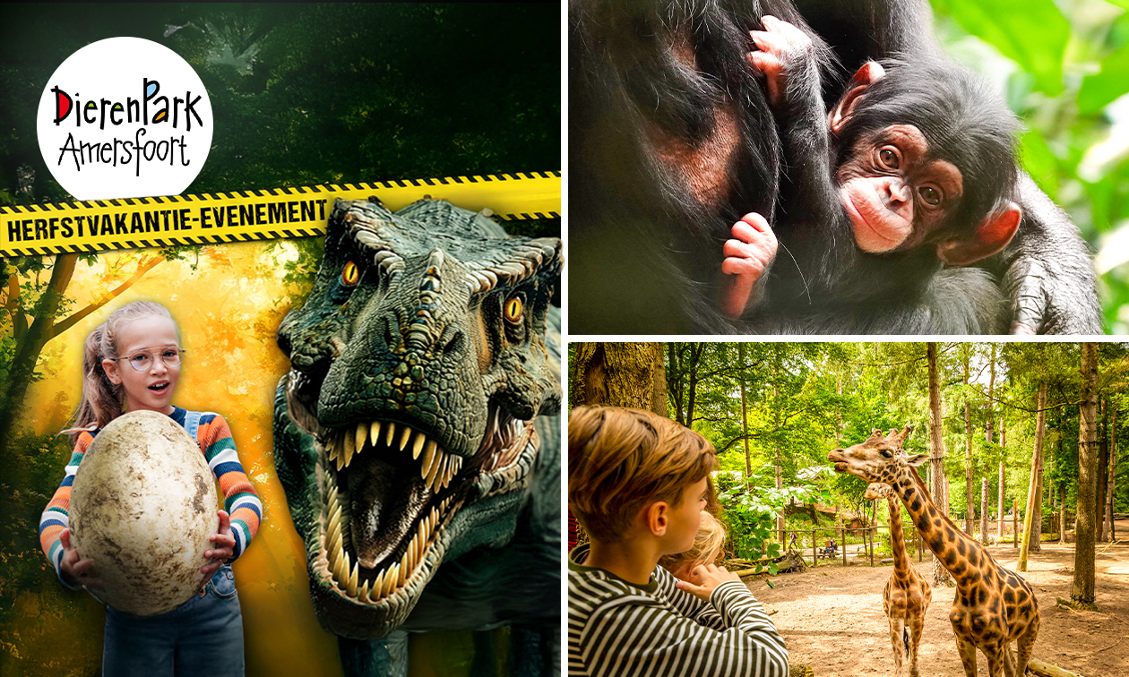 Entree voor DierenPark Amersfoort