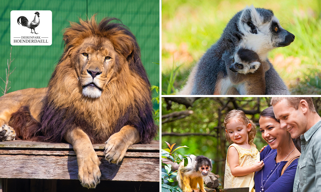 Eintritt in den Tierpark Hoenderdaell