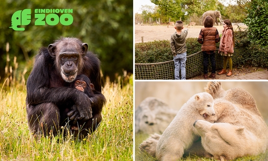 Tageseintritt Eindhoven Zoo (ehemals Dierenrijk)