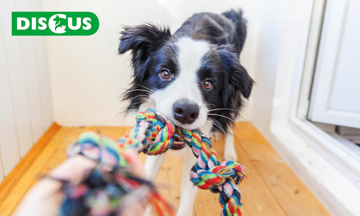 Waardebon voor dierenspeciaalzaak