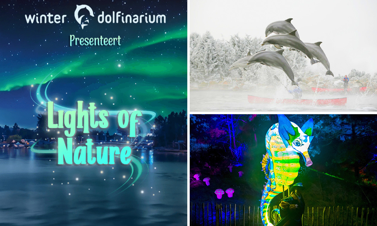 Eintritt ins Dolfinarium