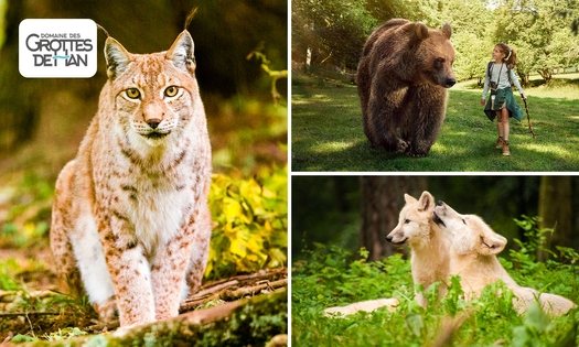 Entree tot het Wildpark