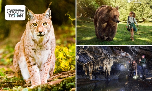 Entree tot Grotten van Han, Wildpark en meer