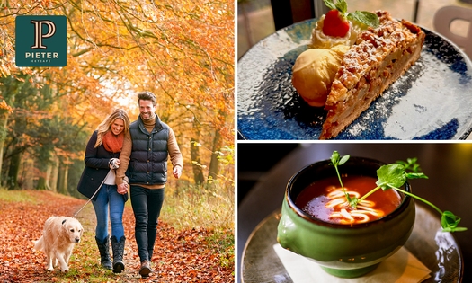 Wandelarrangement incl. koffie/thee + gebak en/of 2-gangen keuzelunch