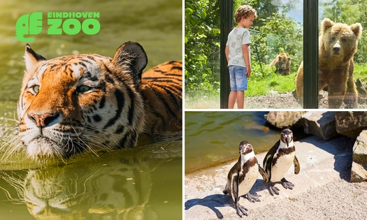 Tageseintritt Eindhoven Zoo