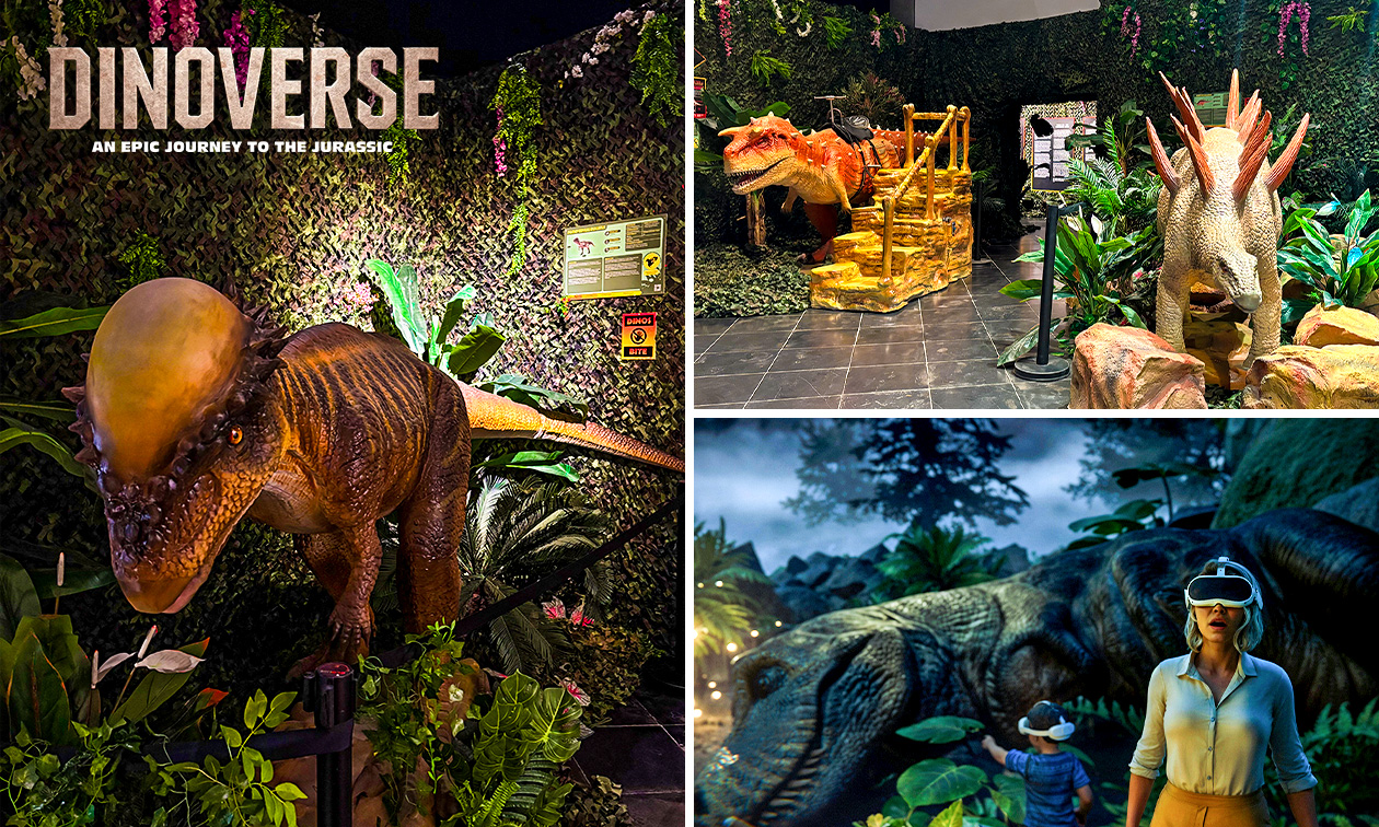 Entrée pour l'exposition immersive Dinoverse à Liège