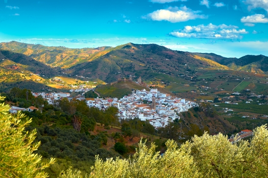 FuegoBlanco