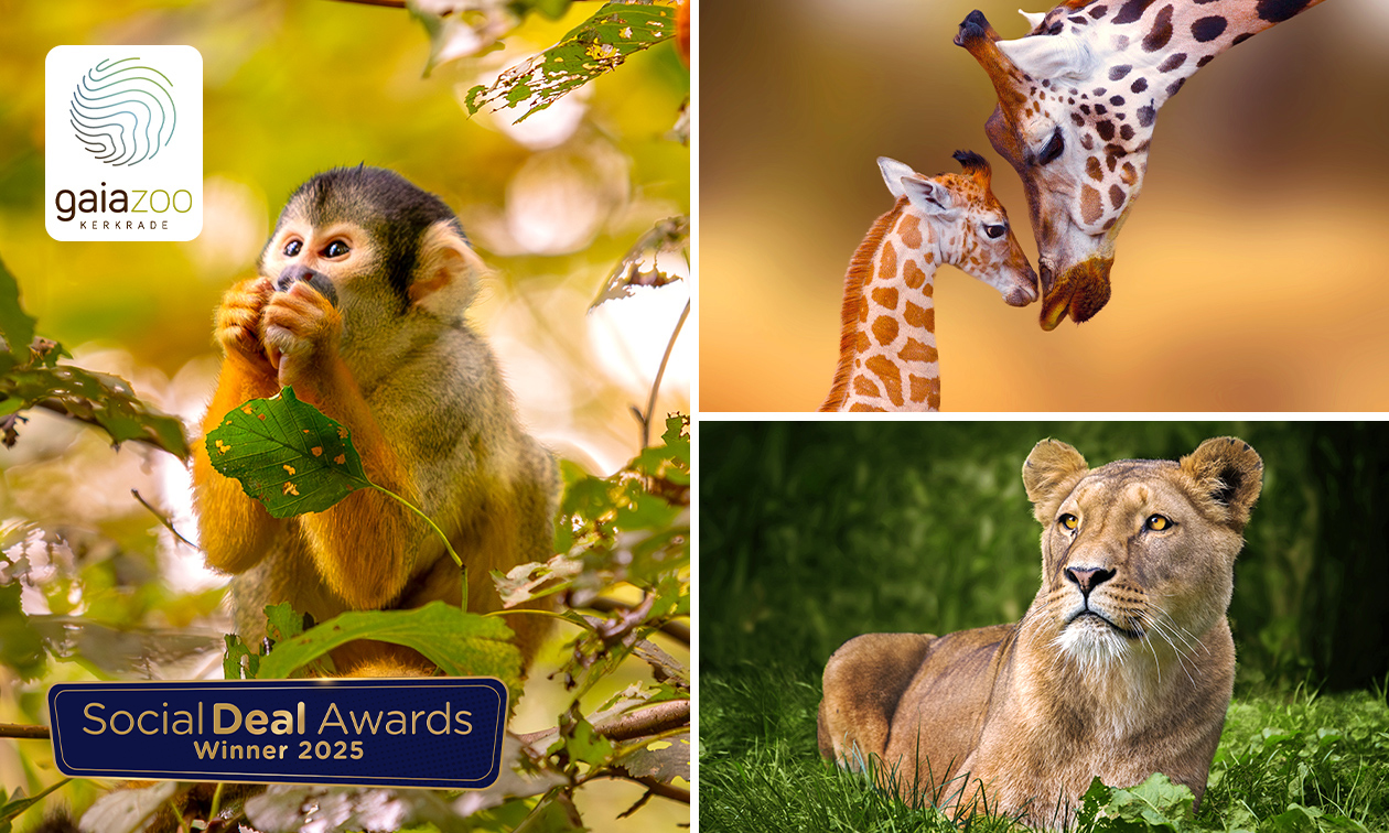 Eintritt in den GaiaZOO