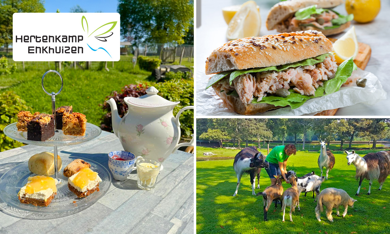 Lunchplank, zoete proeverij + poffertjes of kidsmenu