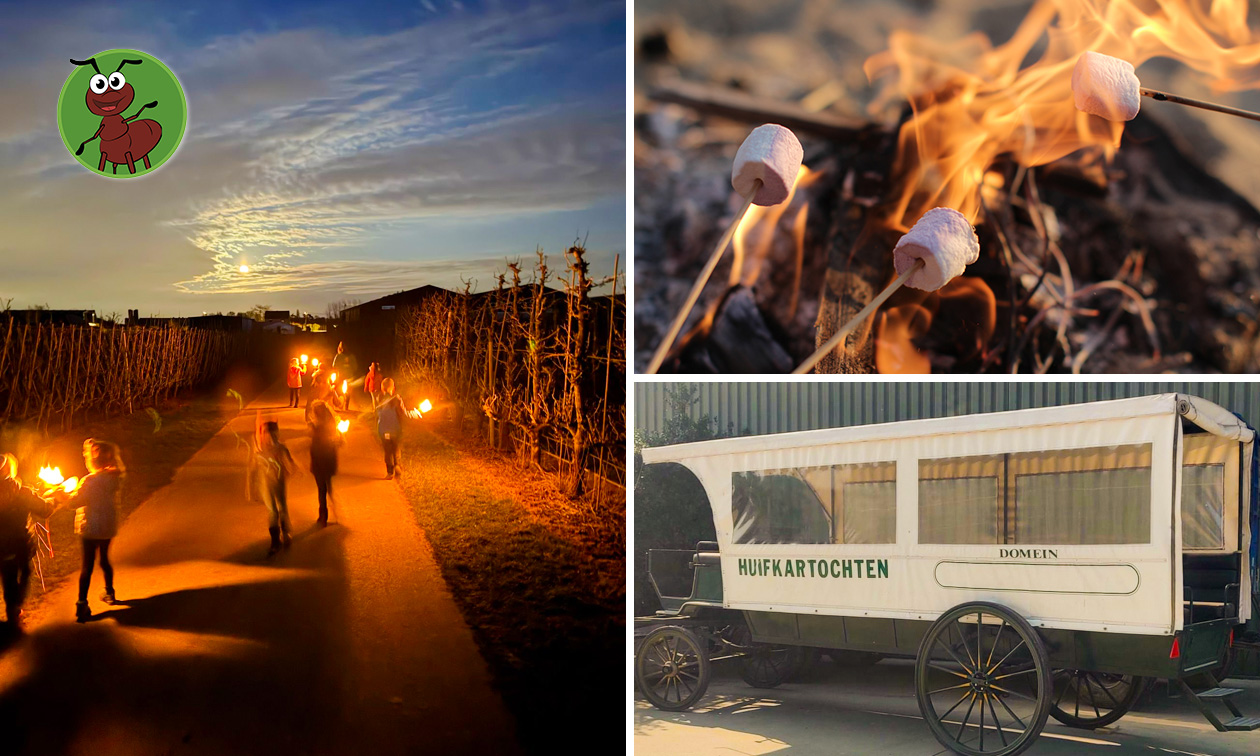 Avontuurlijke fakkeltocht + huifkarrit + evt. diner