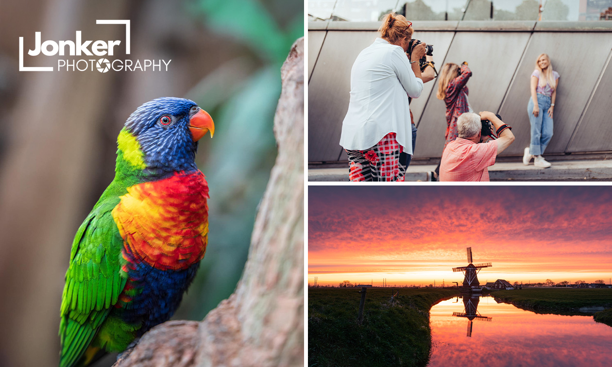 (Online) basiscursus fotografie (3,5 uur) of entree voor The PixelExperience