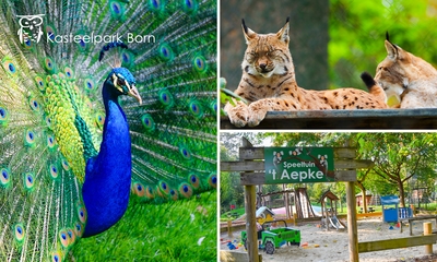 2 Eintrittskarten für den Kasteelpark Born