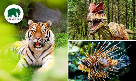 Eintritt in den Kölner Zoo, Aquarium und Dinoworld