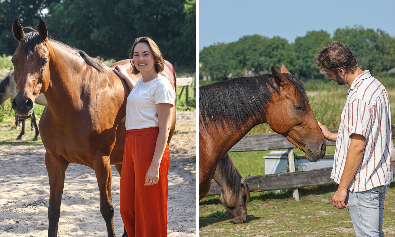 Paardencoaching (60 min)