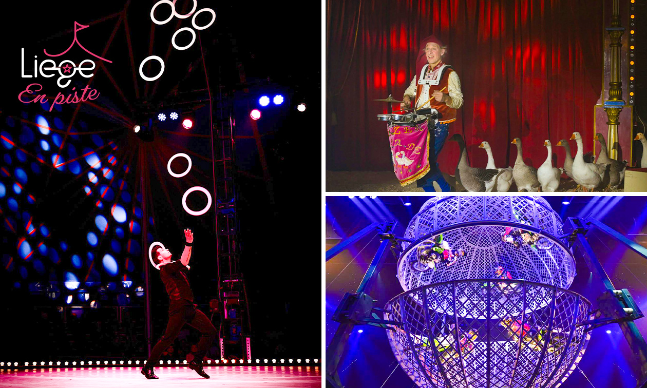 Eintritt Weihnachtszirkus Liège en piste