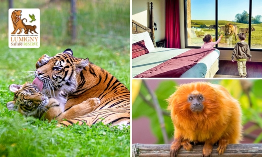 Übernachtung für 2 oder eine Familie + Frühstück + Eintritt in Safariparks bei Paris