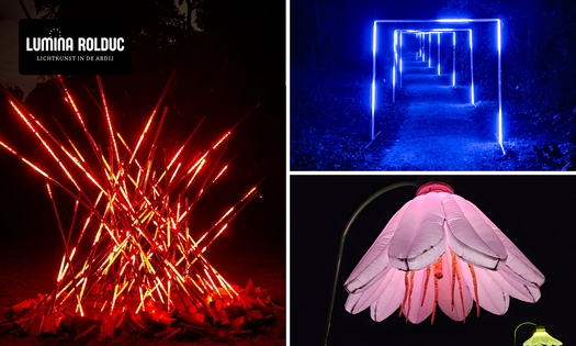 Eintritt Lumina Rolduc - Lichtkunst in der Abtei + Kaffee, Tee oder heiße Schokolade