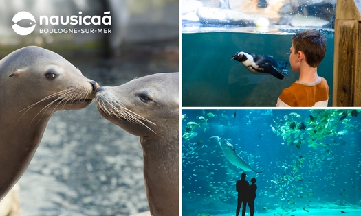 Eintritt für Nausicaá + Audioguide in Boulogne-sur-Mer