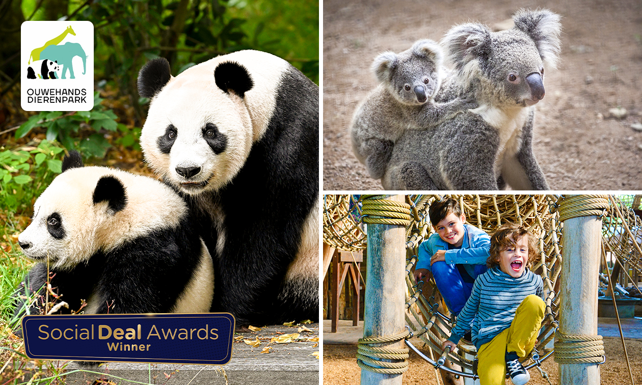 Eintritt Ouwehands Dierenpark Rhenen + Kaffee, Tee, Cappuccino oder heiße Schokolade