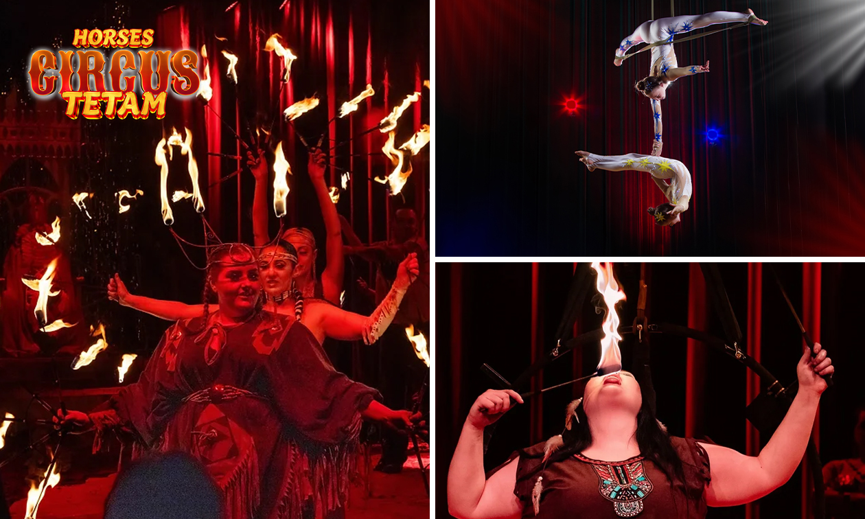 Entree voor Paardencircus Tetam