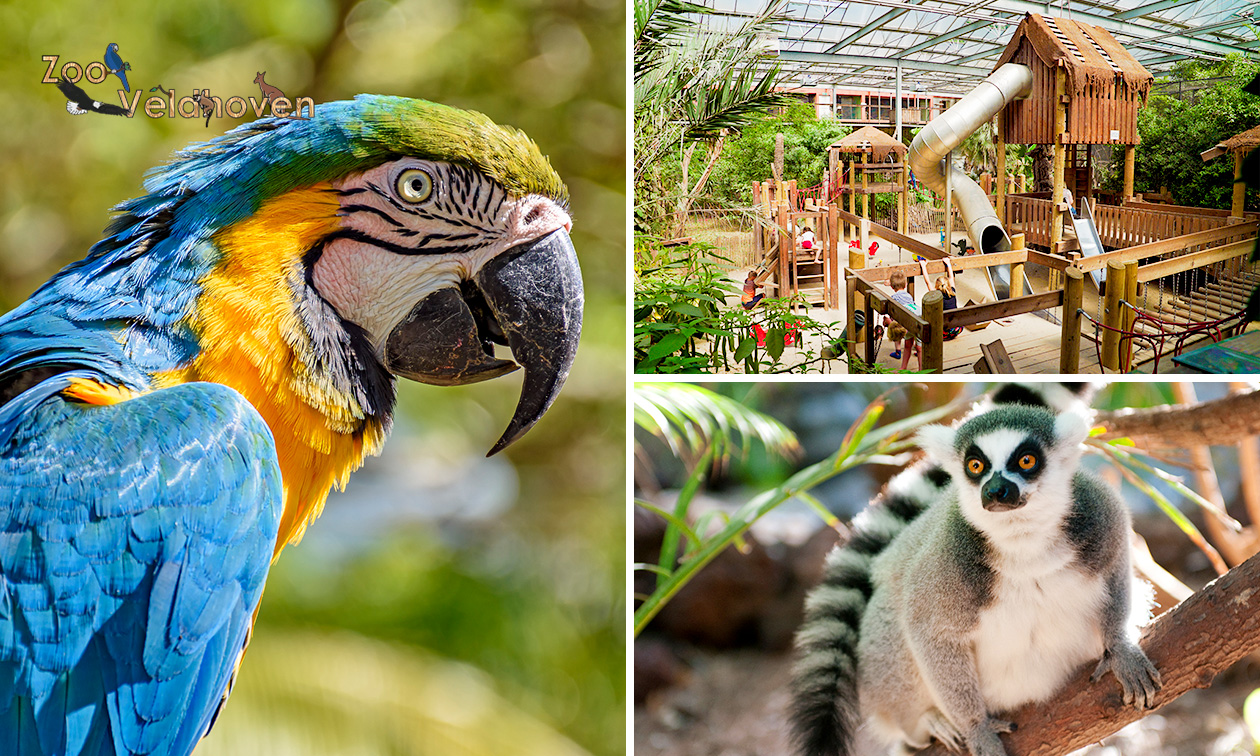 Tageseintritt Papageienpark Zoo Veldhoven