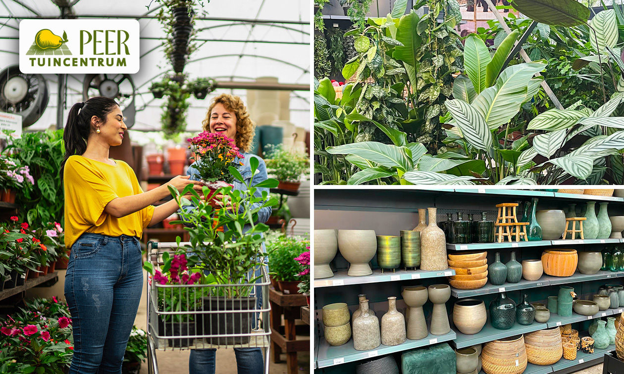 Waardebon voor Peer Tuincentrum