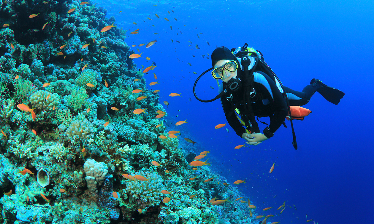 Duikcursus voor beginners of SSI Open Water Diver-duikopleiding Duikcursus voor beginners of SSI Open Water Diver-duikopleiding